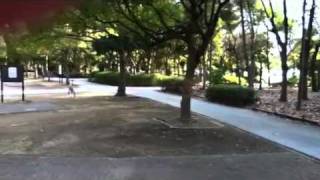 液状化幕張 liquefaction by earthquake on Japan 2011 [upl. by Bridgid274]