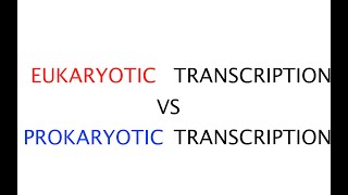 Eukaryotic transcription vs Prokaryotic transcription 41 [upl. by Bertsche]