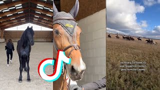 The Best HORSE 🐎 TikTok Compilation 101 [upl. by Keriann228]