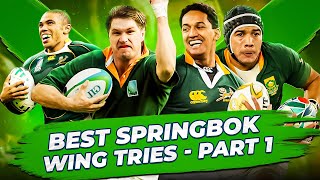 Best Springbok Wing Tries  Part 1 [upl. by Quickman]