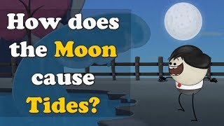 How does the Moon cause Tides  more videos  aumsum kids science education children [upl. by Anytsirhc]