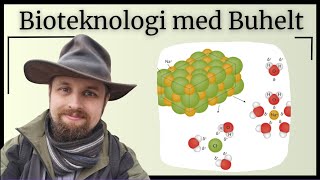 Bioteknologi  Cellens kemi [upl. by Aerdnu]