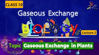 Gaseous Exchange in Plants EXPLAINED in Biology I CLASS 10 I Unit 1 I lect 2 Biology penacademy [upl. by Hailey191]