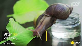 Biotaniqe  Snail Repair Therapy [upl. by Etyak]