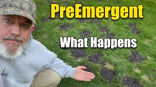 Spring Lawn Preemergent  What Happens and How it Works [upl. by Felicie]