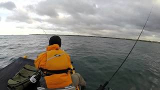 Kayak Fishing at Mordialloc Victoria Australia [upl. by Myer]