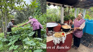 Un Verdadero Almuerzo De Rancho Vamos a Cortar Flores de Calabaza y Hacer Atole De Leche Buenísimo [upl. by Schuyler]