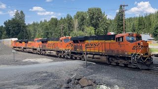 A westbound BNSF powers pass the Lake Cocolalla community 🇺🇸 [upl. by Yerggoeg]