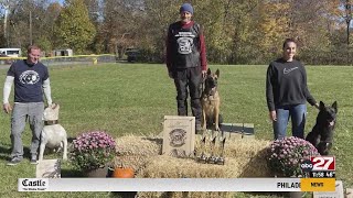 MidAtlantic Working Dog Club hosts national championship [upl. by Tenrag]