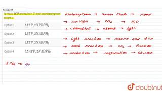 To reduce 1 CO2 molecules in C3 cycle  assimilatory power needed is [upl. by Lehet]