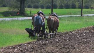 FARMER PLOWING WITH HORSES [upl. by Inalawi]