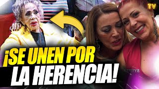 ¡SE APROVECHAN de Silvia Pinal Alejandra Guzmán y Sylvia Pasquel se quedan con la HERENCIA [upl. by Deidre]