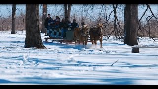 Apple Holler HorseDrawn Sleigh Rides [upl. by Sivie]