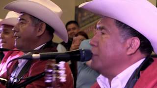 Dueto Bertin Y Lalo  Mix Cumbias 2016  En Vivo [upl. by Siskind114]