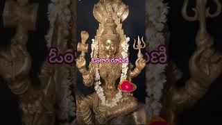 అమ్మవారి అద్భుత దర్శనం [upl. by Anaehr]