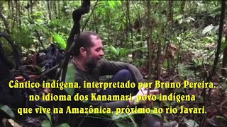 WAHANARARAI  canto indígena Kanamari Bruno Pereira  indigenista [upl. by Jaine]