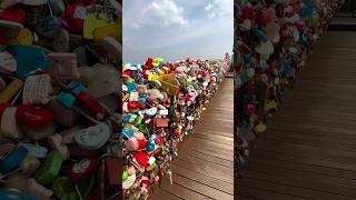 Love Locks in Bridges with Keys Thrown in the Waters 🗝️ shorts love [upl. by Ahtelrac]