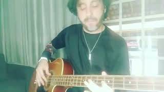 Whose Bed Have Your Boots Been Under  Shania Twain Cover Baixo  Bass Cover [upl. by Kimon771]