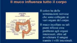 Il Sistema di Guarigione della Dieta Senza Muco [upl. by Ledif]