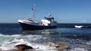 Shipwreck  Grounded Ship at Cronulla Point near Shark Island back in 2013 [upl. by Ettenig]