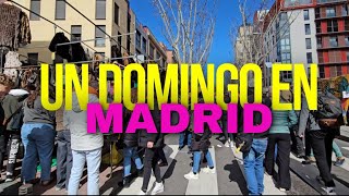 Mercado en el Rastro  MADRID Qué hacer un domingo en Madrid 🤔 [upl. by Nesta]