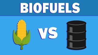 What are Biofuels and Where are They Going [upl. by Serle959]