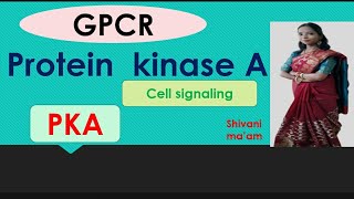 Protein Kinase APKAGPCR cell signalingBscMSc Entrance Shivani ma’am [upl. by Ekard]