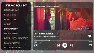 PLAYLIST SEVENTEEN ELEGANT PLAYLIST  Songs that are Elegant from Energetic to Emotional songs [upl. by Maharva51]