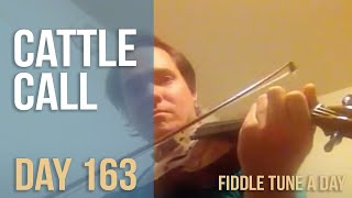 Cattle Call  Fiddle Tune a Day  Day 163 [upl. by Goldner]