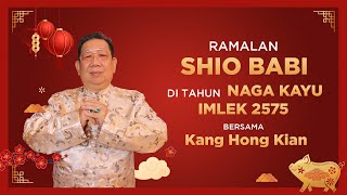 Ramalan Shio Babi di Tahun Naga Kayu 2024 Bersama Kang Hong Kian  Sonora Fengshui [upl. by Aylatan942]