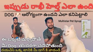 How to Find Dogs Health without Doctor Suggestion and దయచేసి ఒక్క టానికి మీ డాగ్ కి వాడండి🐶 youtube [upl. by Nnaeoj]