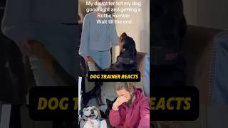 ⚠️ DOG TRAINER REACTS ⚠️  Rottweiler growling at daughter dogtraining rottweiler reaction [upl. by Adlesirg]