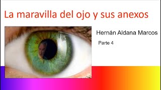 Histología del ojo Parte 4 [upl. by Samale]