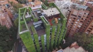 El jardín vertical MÁS GRANDE DEL MUNDO 🏆 Edificio Santalaia [upl. by Sankaran467]