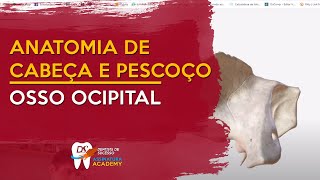 Osso temporal  ANATOMIA DE CABEÇA E PESCOÇO [upl. by Lowenstein]