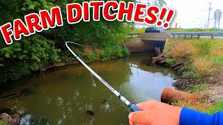 SURPRISING Ditch Fishing Fields of INDIANA [upl. by Nilyac]