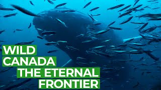 Wild Canada  Part 1 The Eternal Frontier  Free Documentary Nature [upl. by Cleavland]