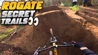 NEW SECRET JUMPS AT ROGATE BIKE PARK [upl. by Gnoht]