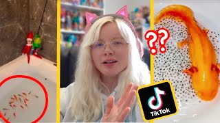 These Harmful TikTok Pet Trends Need to Stop [upl. by Crocker188]