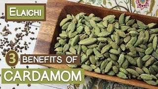 3 Benefits of Cardamom Three LesserKnown Uses of Elaichi [upl. by Edgard1]