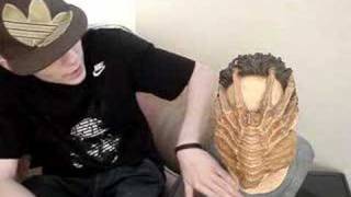 Palisades 11 Facehugger On Kane Original ALIEN bust review [upl. by Tuchman296]