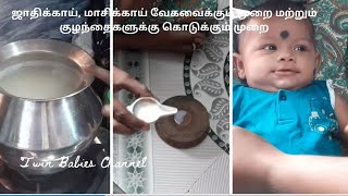 ஜாதிக்காய் Nutmeg மாசிக்காய்  Gallnut  குழந்தைகளுக்கு கொடுக்கும் முறை [upl. by Eedeed]