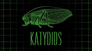 Katydids  Official Trailer [upl. by Draneb771]