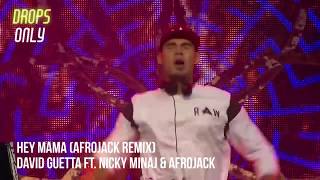 Afrojack Drops Only Tomorrowland 2016 [upl. by Miof Mela]