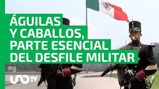 Águilas y caballos símbolos de fuerza en la formación de cadetes del Heroico Colegio Militar [upl. by Evadnee96]