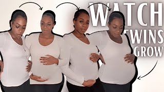 TWIN PREGNANCY TRANSFORMATION WEEK BY WEEK belly growth with twins [upl. by Ettennat715]