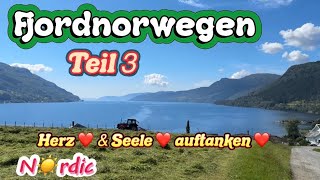 Fj☀️rdn☀️rwegen🇳🇴❤️norway travel video [upl. by Ellasal]