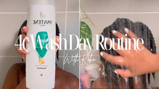 Wash Detangle amp Style my 4C Hair in Twists 🌀 Moisture Routine for Healthy Afro  SA youtuber🇿🇦 [upl. by Akinaj]