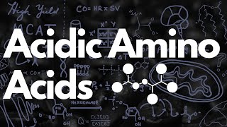 Acidic Amino Acids Aspartate amp Glutamate  MCAT [upl. by Raynard305]