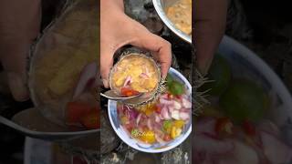 Sea urchins  Philippines [upl. by Aneryc458]